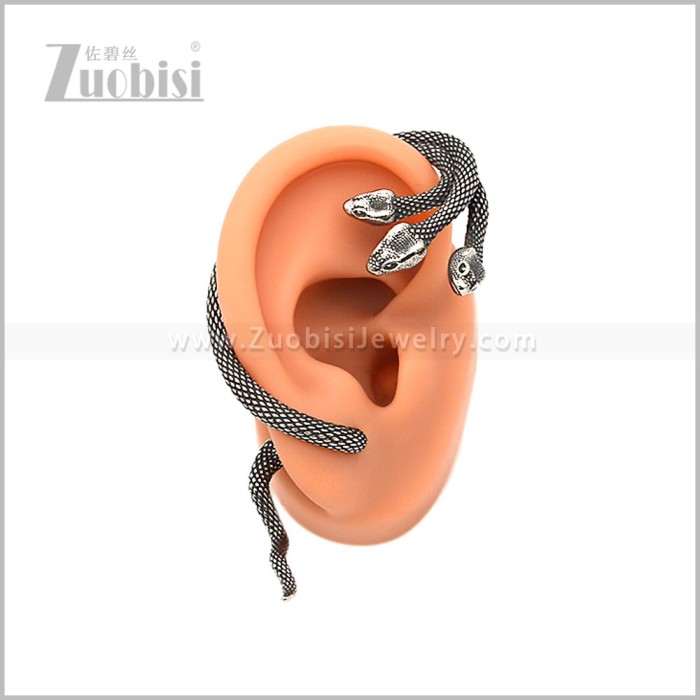 Stainless Steel Earring e002951S