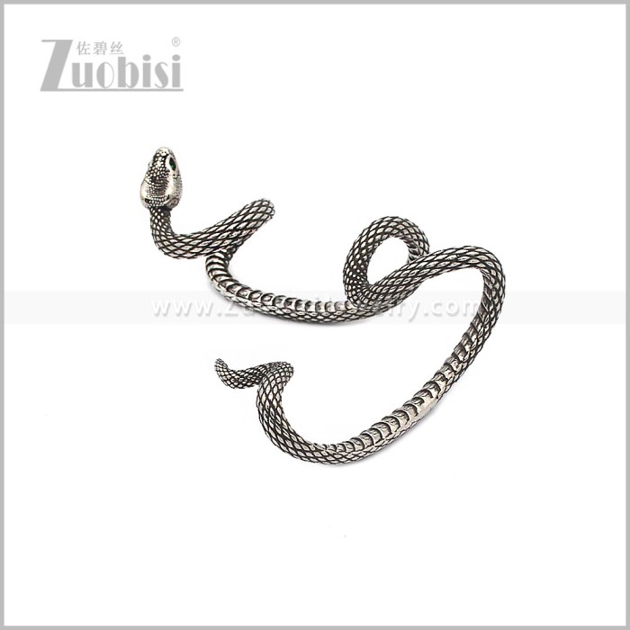 Stainless Steel Earring e002956S
