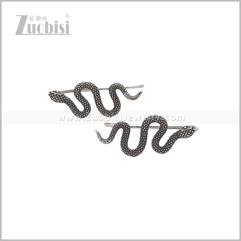 Stainless Steel Earring e002945S
