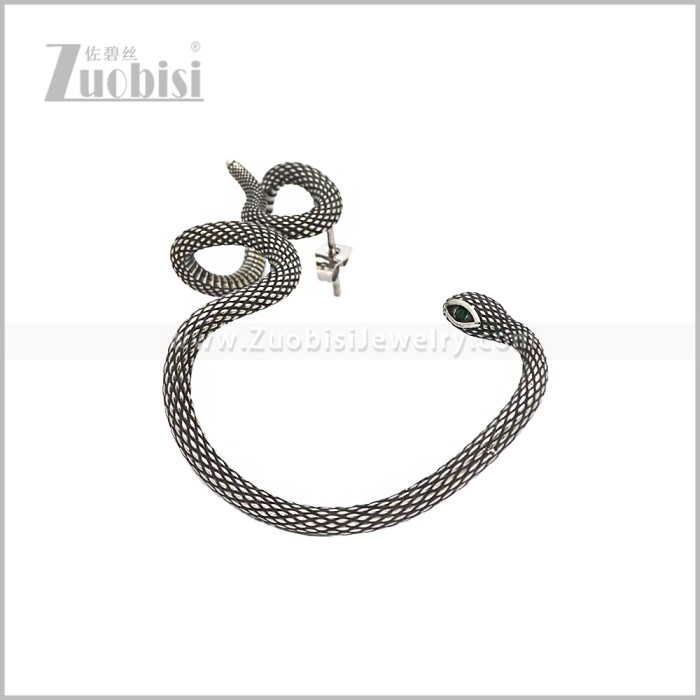 Stainless Steel Earring e002964S