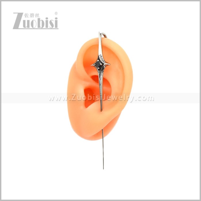 Stainless Steel Earring e002978SH