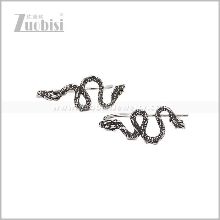 Stainless Steel Earring e002944S