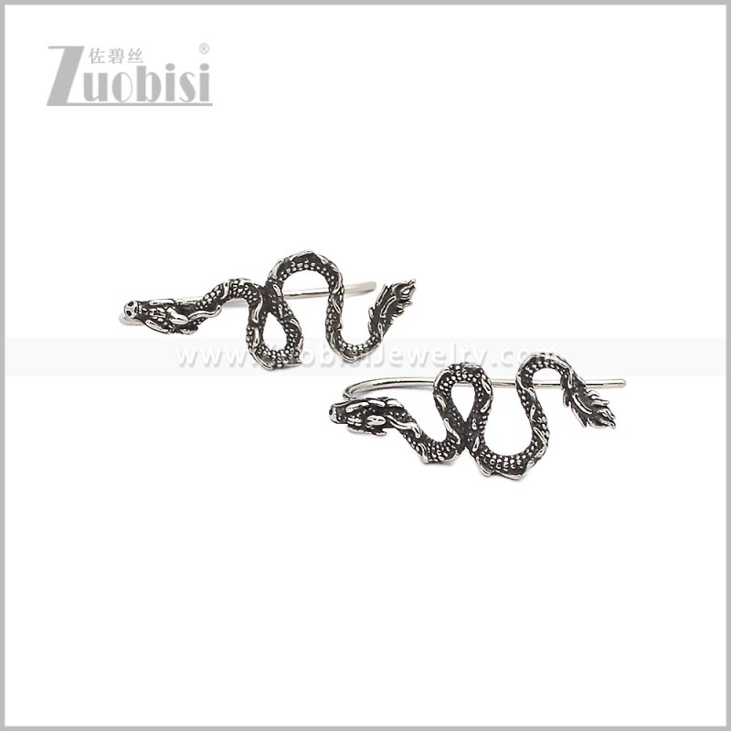 Stainless Steel Earring e002944S