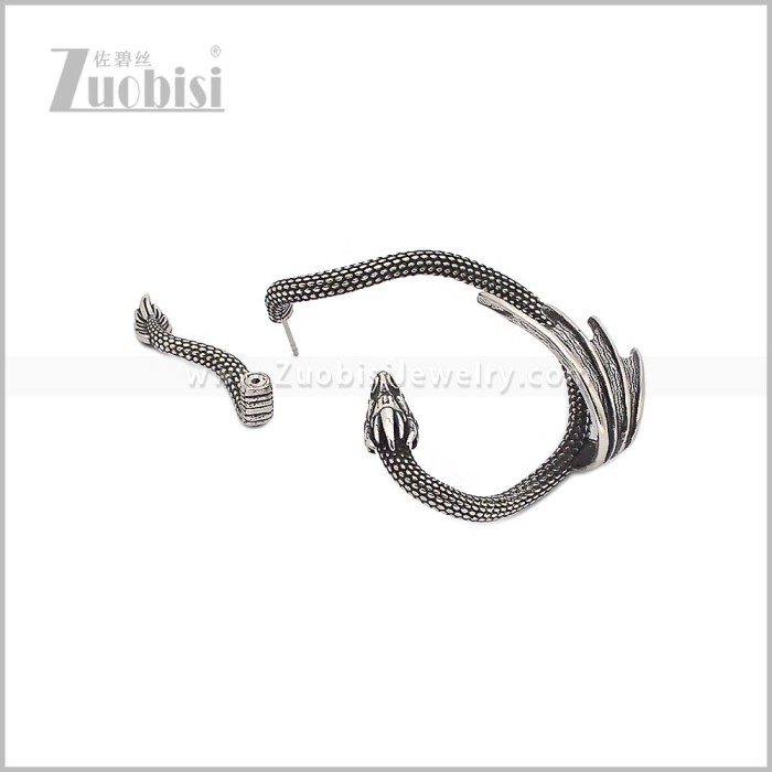 Stainless Steel Earring e002957S