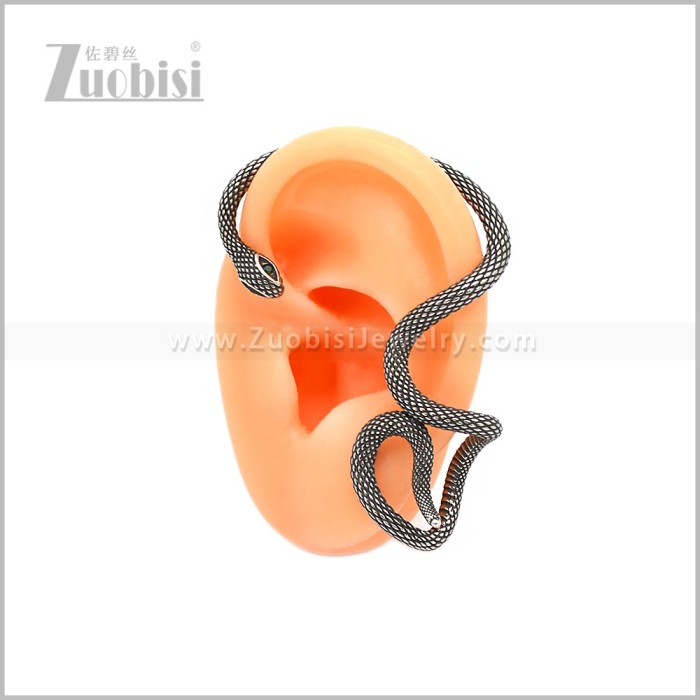 Stainless Steel Earring e002964S
