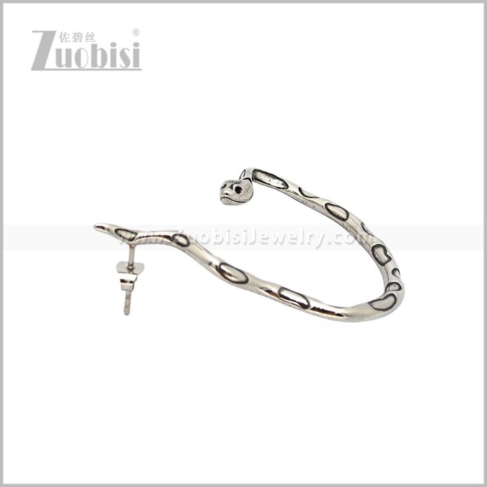 Stainless Steel Earring e002970S
