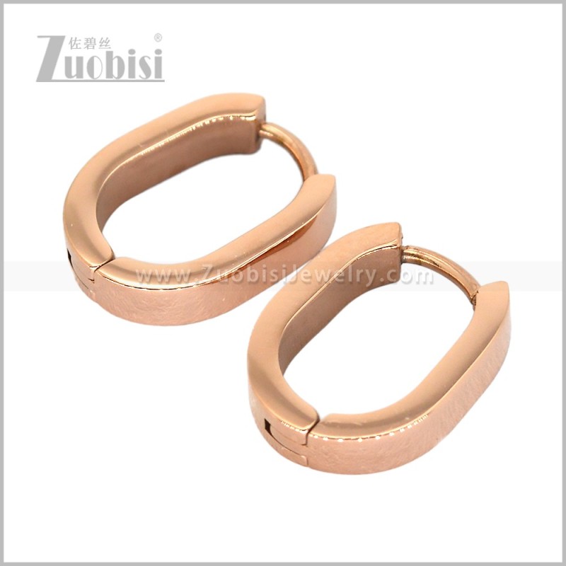 Stainless Steel Earring e003014R