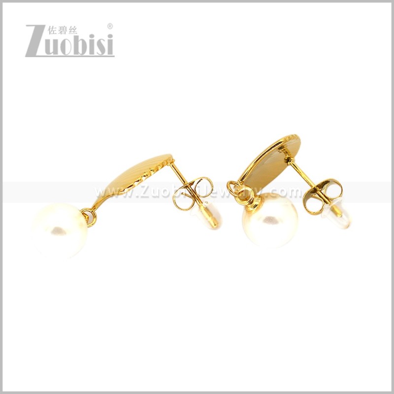 Stainless Steel Earring e003011G