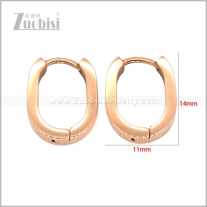 Stainless Steel Earring e003014R