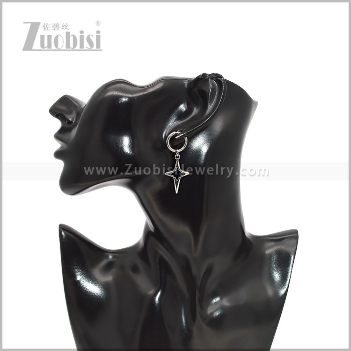 Stainless Steel Earring e003004S