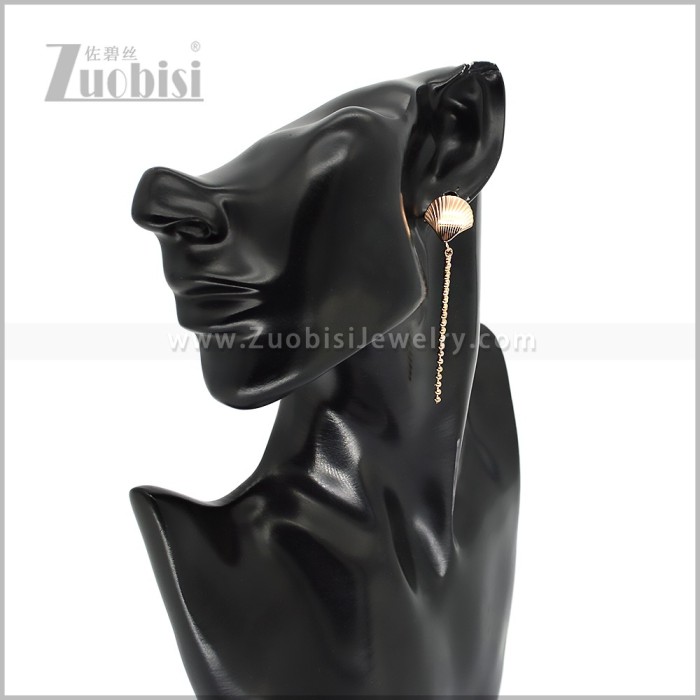 Stainless Steel Earring e003013R