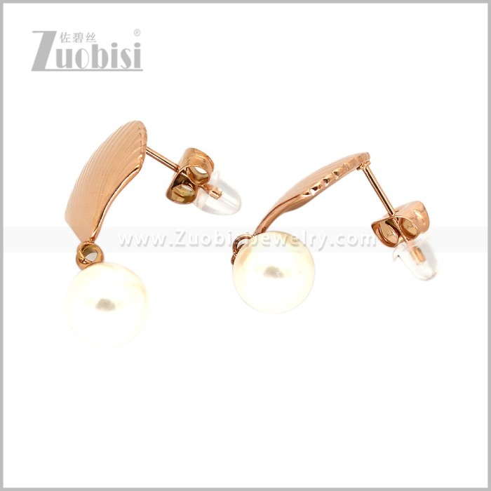 Stainless Steel Earring e003011R