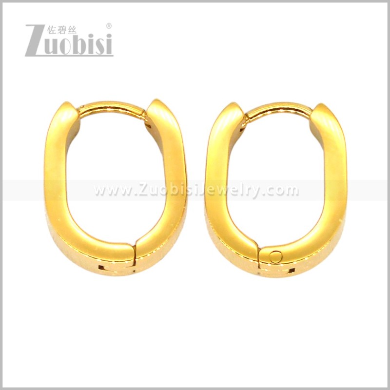 Stainless Steel Earring e003014G