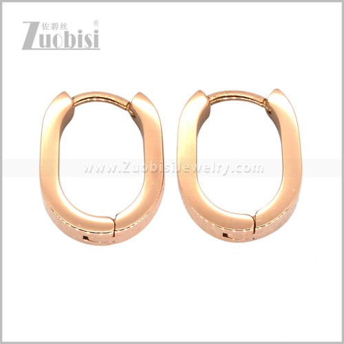 Stainless Steel Earring e003014R