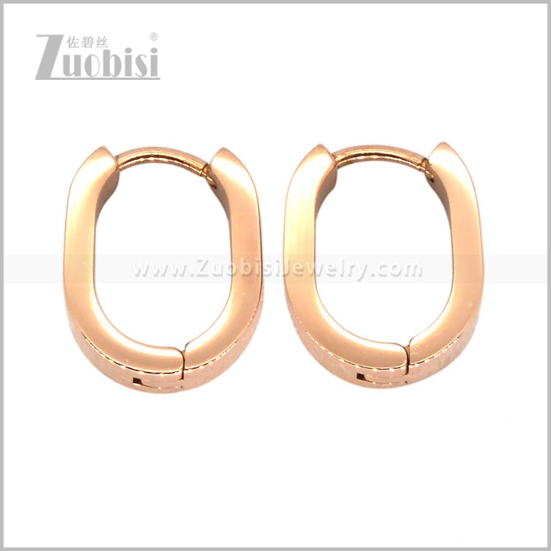Stainless Steel Earring e003014R