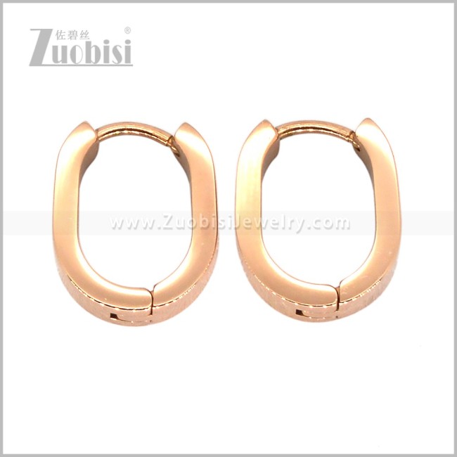 Stainless Steel Earring e003014R