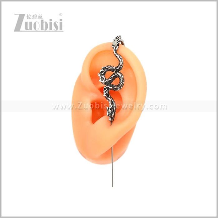 Stainless Steel Earring e002986S