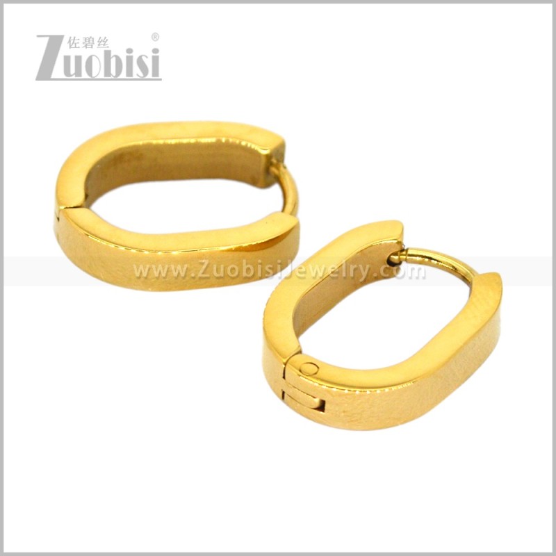 Stainless Steel Earring e003014G
