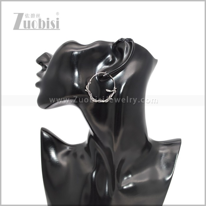 Stainless Steel Earring e002990S