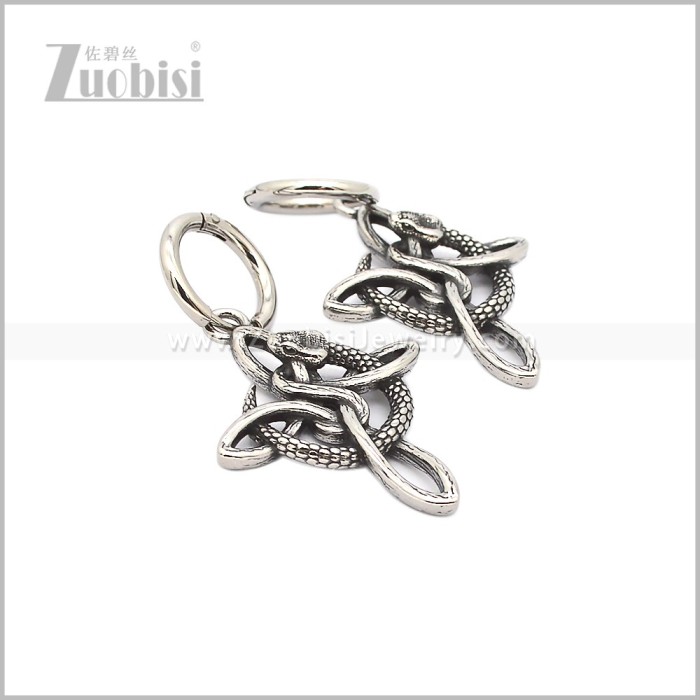 Stainless Steel Earring e003001S