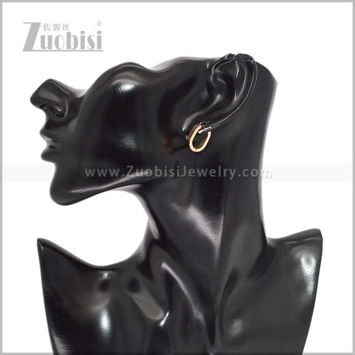 Stainless Steel Earring e003014R