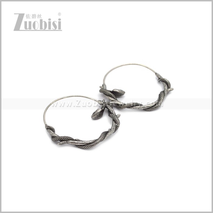 Stainless Steel Earring e002990S