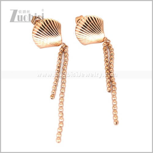 Stainless Steel Earring e003013R