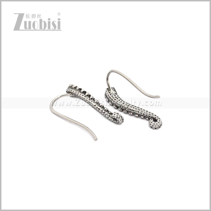 Stainless Steel Earring e002997S