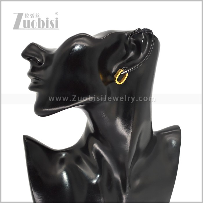 Stainless Steel Earring e003014G