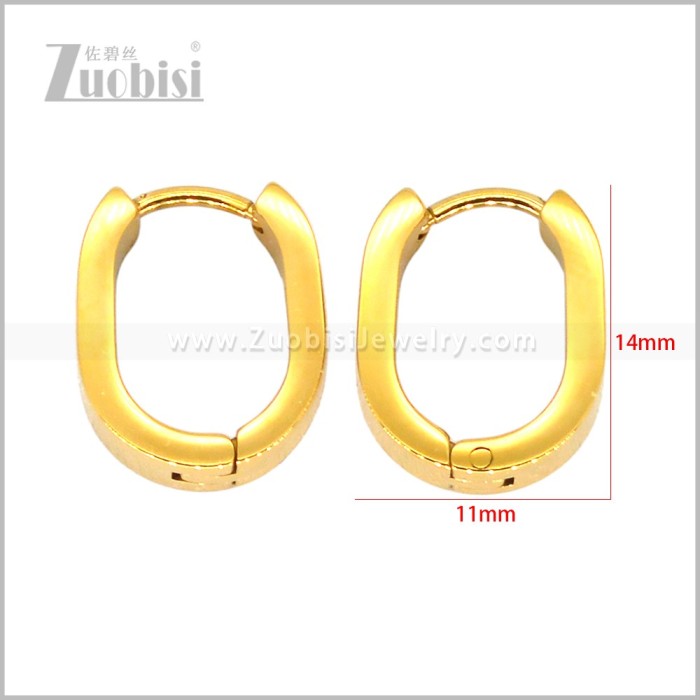 Stainless Steel Earring e003014G