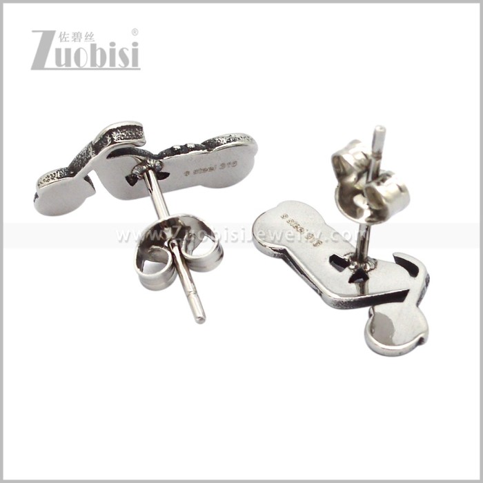Stainless Steel Earring e003010S