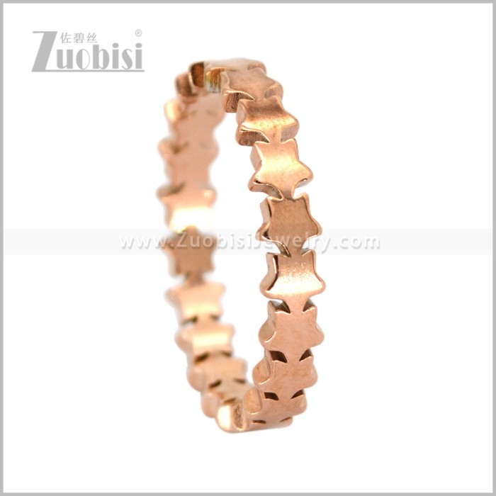 Stainless Steel Ring r011069R
