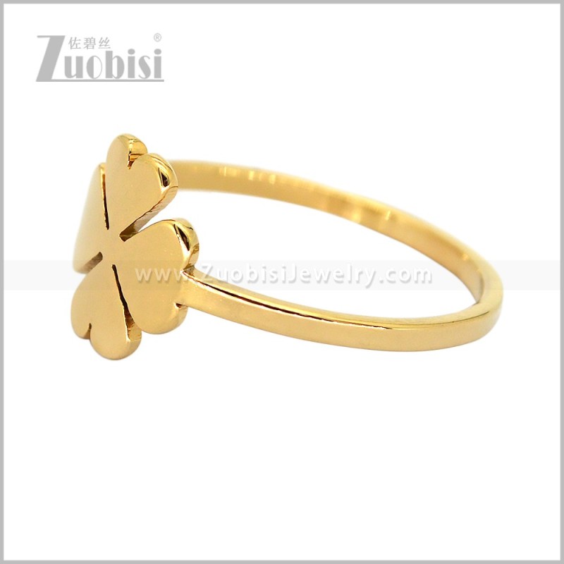 Stainless Steel Ring r011086G
