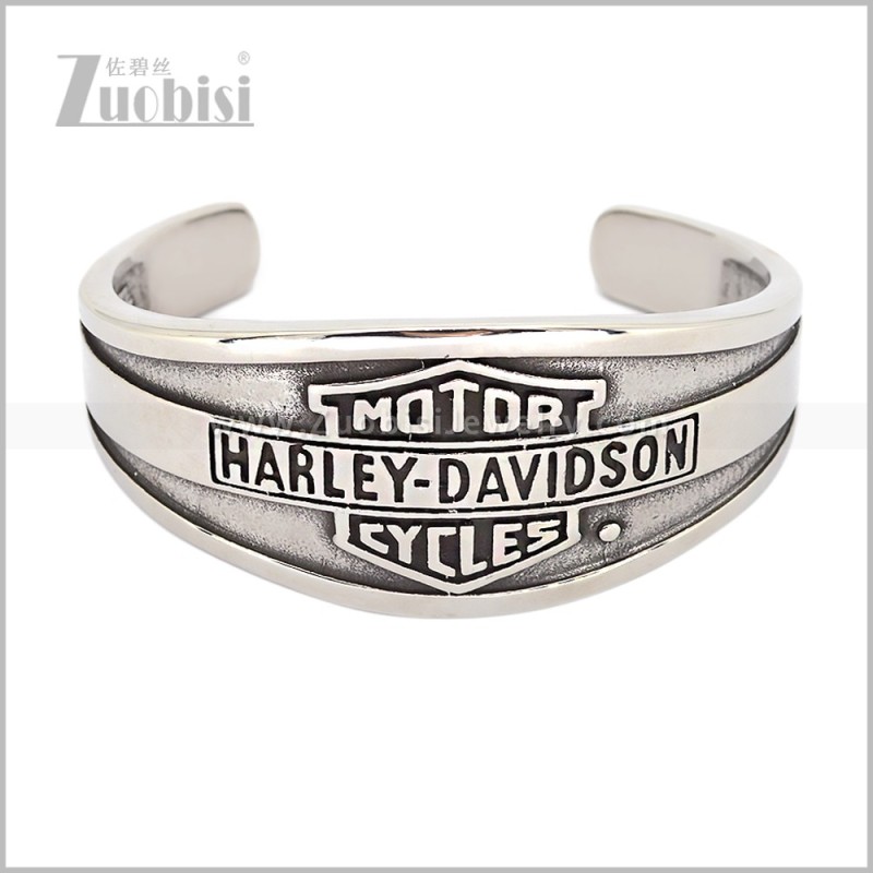 Stainless Steel Bangle b011159S