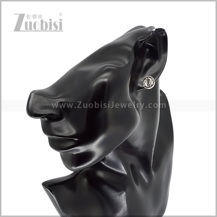 Stainless Steel Earring e003021S