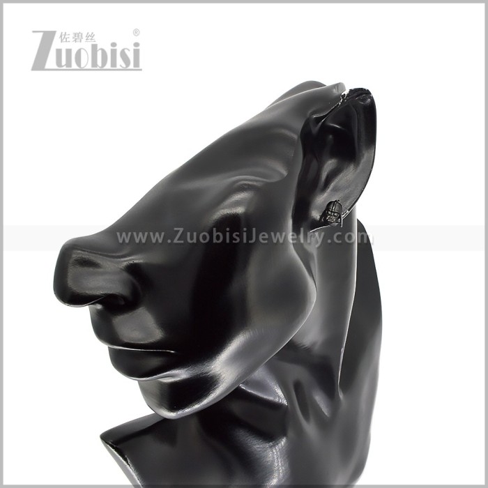 Stainless Steel Earring e003019H