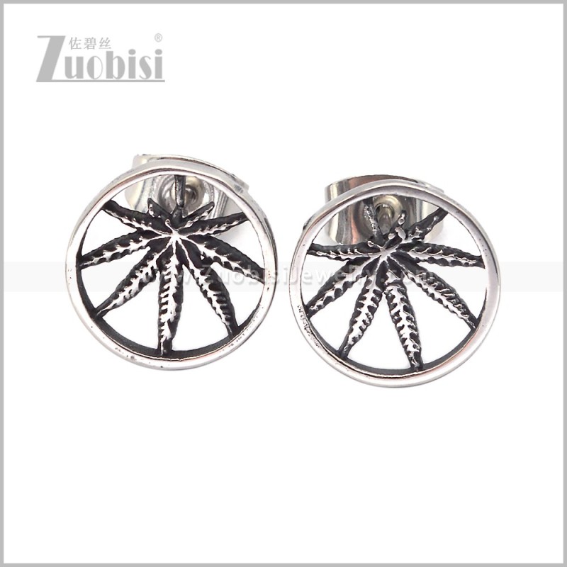 Stainless Steel Earring e003023S