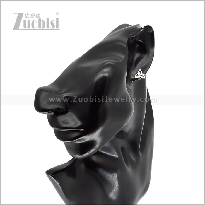 Stainless Steel Earring e003022S