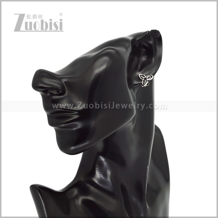 Stainless Steel Earring e003017S