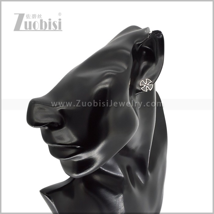 Stainless Steel Earring e003020S