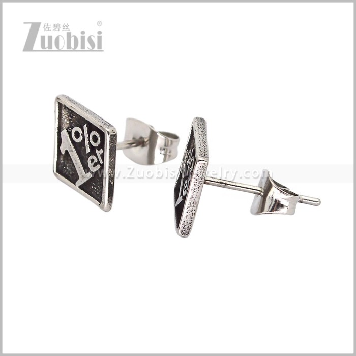 Stainless Steel Earring e003015S