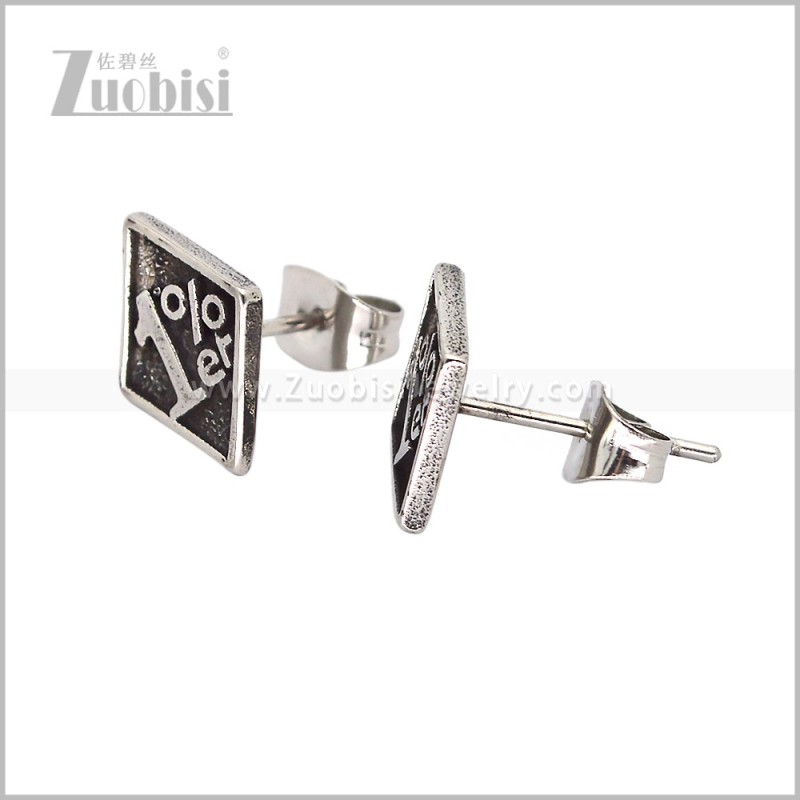 Stainless Steel Earring e003015S