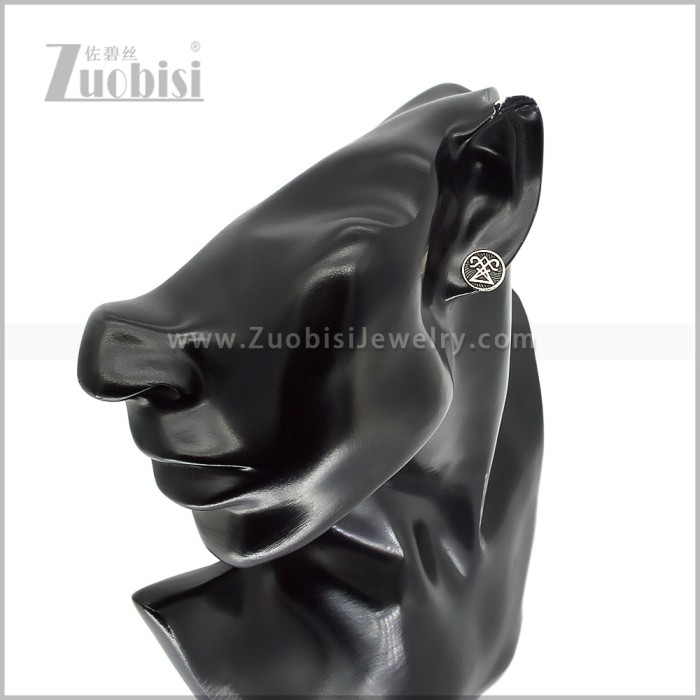 Stainless Steel Earring e003027S