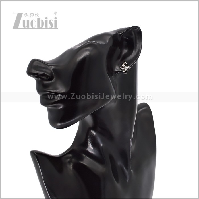 Stainless Steel Earring e003015S