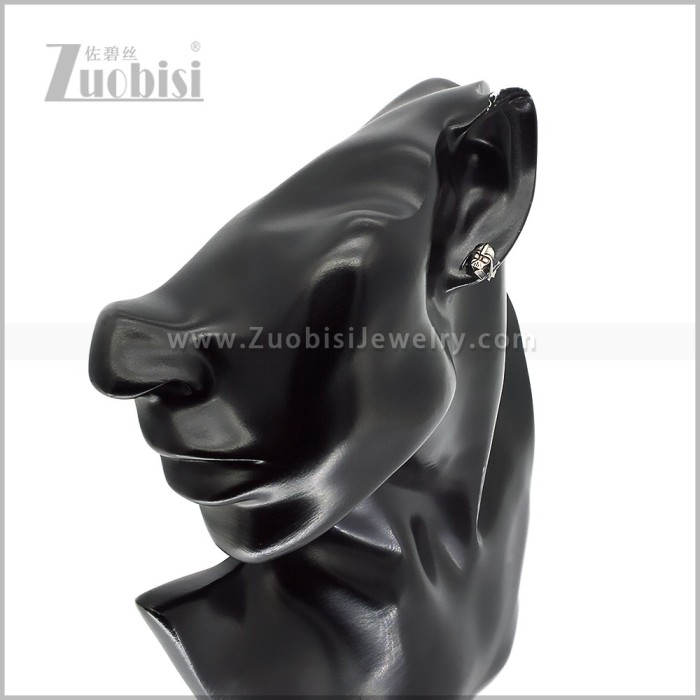 Stainless Steel Earring e003019S