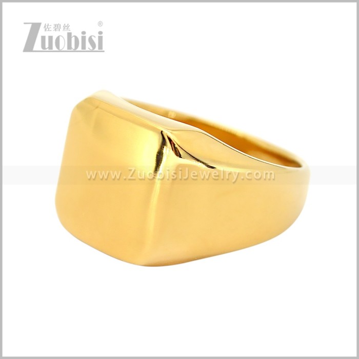 Stainless Steel Ring r011176G