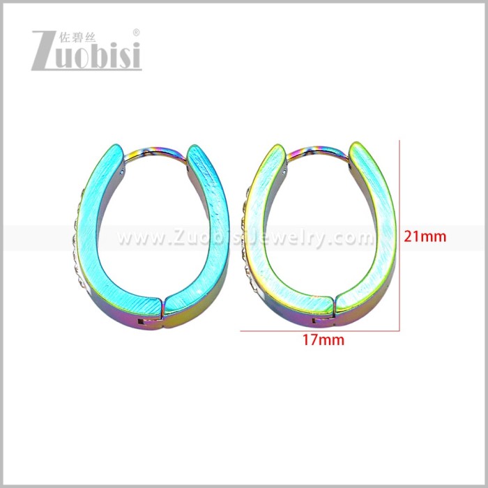 Stainless Steel Earring e003091C