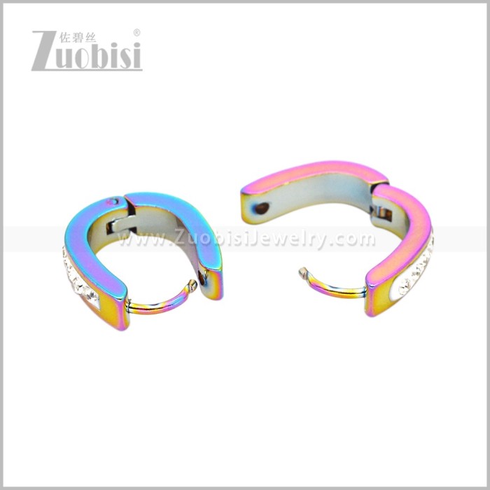 Stainless Steel Earring e003043C2
