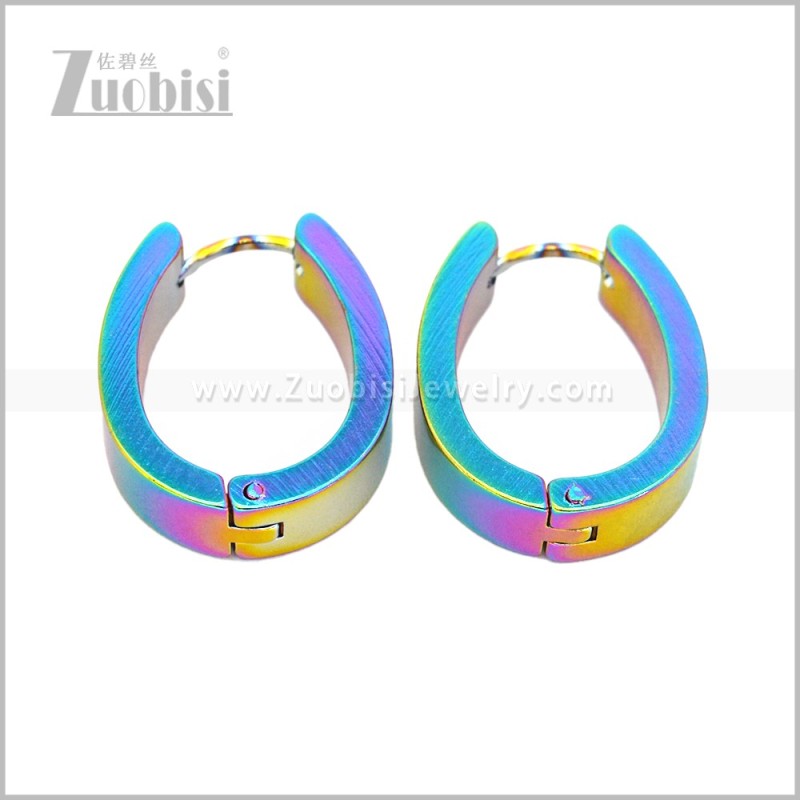 Stainless Steel Earring e003054C