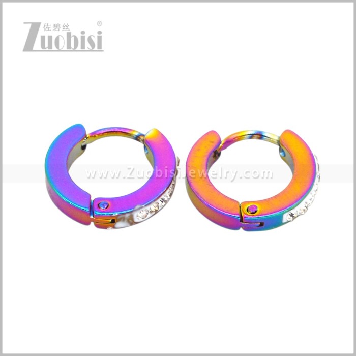 Stainless Steel Earring e003078C2
